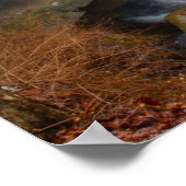 Poster Chutes du ruisseau Chippewa dans les parcs du métr (Coin)