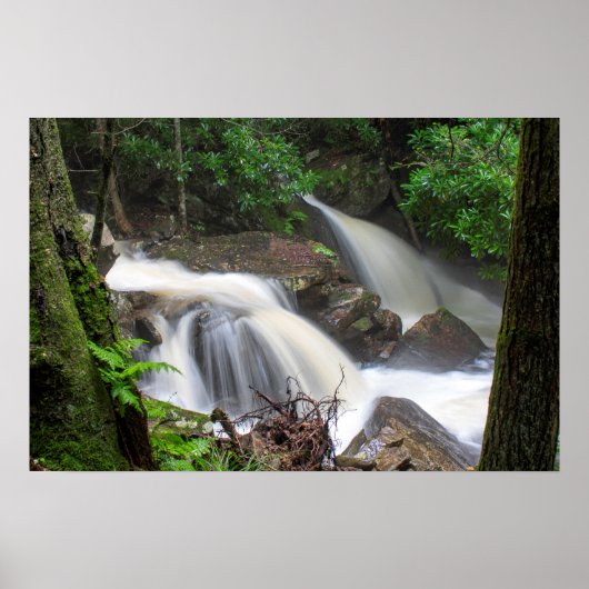 Poster Chutes du ruisseau Drakes (Devant)