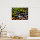 Poster Chutes du ruisseau Starvation | Columbia Gorge, Or (Cuisine)