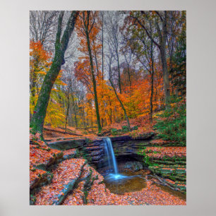 Poster Chutes Dundee en automne, Ohio