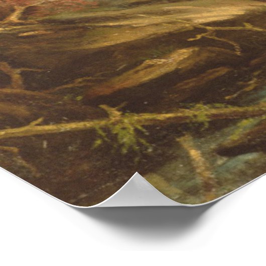 Poster Chutes Kaaterskill (Coin)