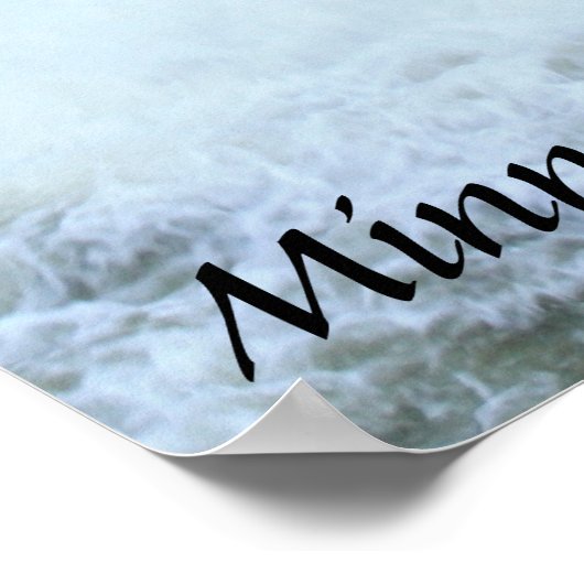 Poster Chutes Minnehaha (Coin)