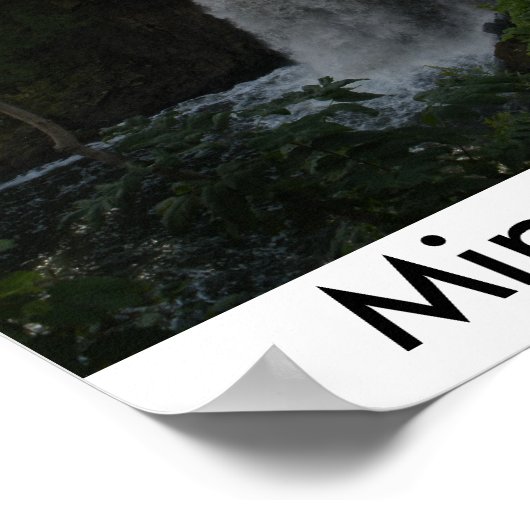 Poster Chutes Minnehaha (Coin)