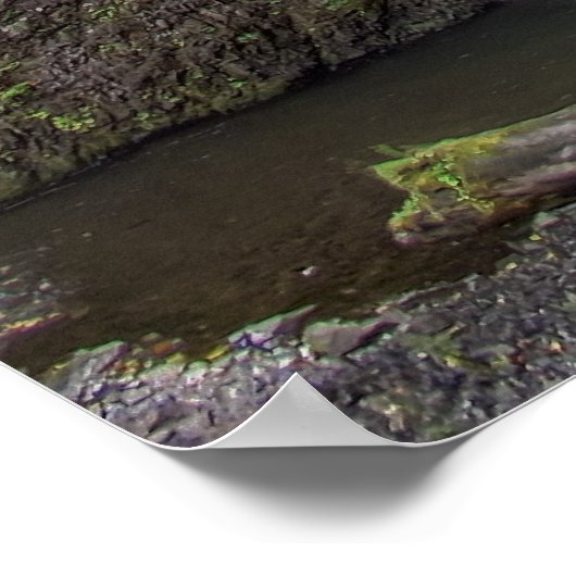 POSTER CHUTES MULTNOMAH (Coin)