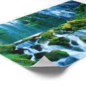 Poster Chutes Proxy, Oregon (Coin)