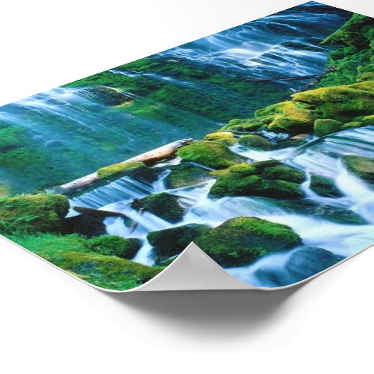 Poster Chutes Proxy, Oregon (Coin)