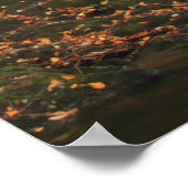 Poster Chutes Ross Brook Automne Berkshires Cascade (Coin)