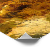 Poster Chutes Shoshone, Rivière Snake, Idaho (Coin)