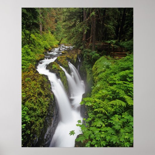 Poster Chutes Sol Duc dans le parc national olympique à (Devant)