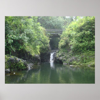 Poster Chutes sous pont