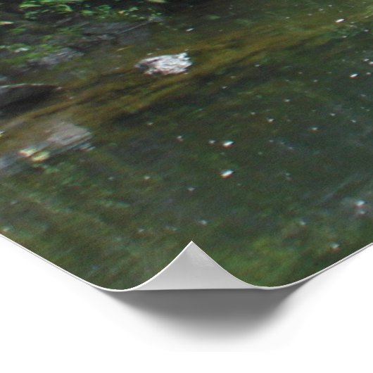 Poster Chutes sous pont (Coin)