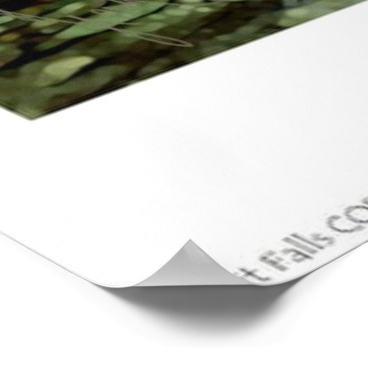 Poster Chutes Sunlit (Coin)