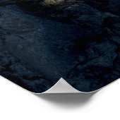 Poster Chutes Sunwapta, Cascade Photographie (Coin)