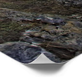 POSTER CHUTES SUNWAPTA - ROCKIES CANADIENNES (Coin)