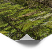 Poster Chutes Takakkaw (Coin)