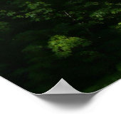 Poster Chutes vernales II dans le parc national Yosemite (Coin)