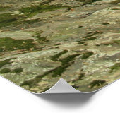 Poster Chutes Wispering (Coin)