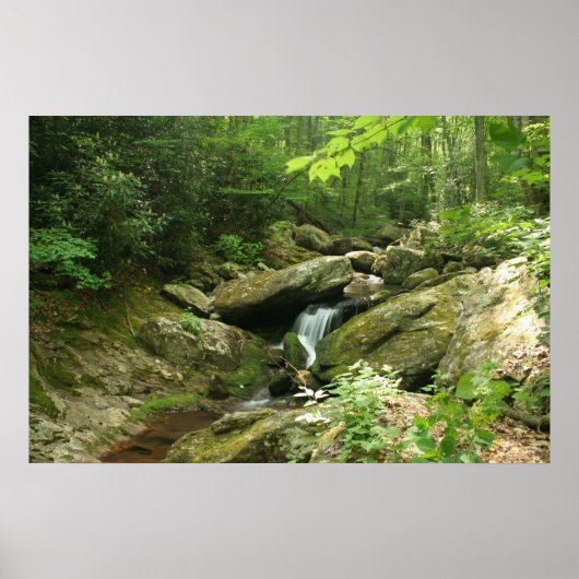 Poster Chutes Wispering (Devant)