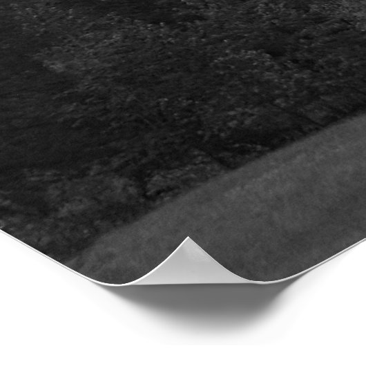 Poster Chutes Yosemite (Coin)