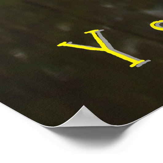 Poster Chutes Yosemite (Coin)