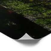 Poster Chutes Yosemite II du parc national Yosemite (Coin)