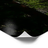 Poster Chutes Yosemite II du parc national Yosemite (Coin)