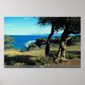 Poster Chypre (Devant)