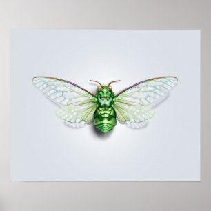 Poster Cicada