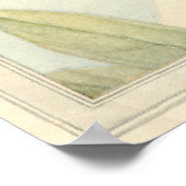 Poster CICADA - Illustration du livre d'insectes (Coin)