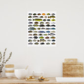 Poster Cichlid Group (Keuken)