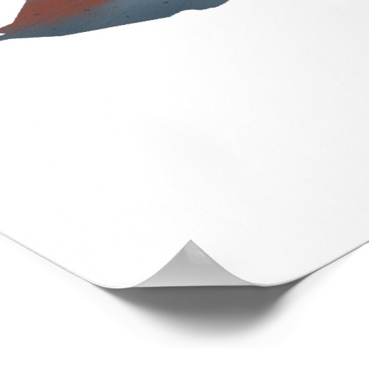 Poster Cichlide ceinture noire (Coin)