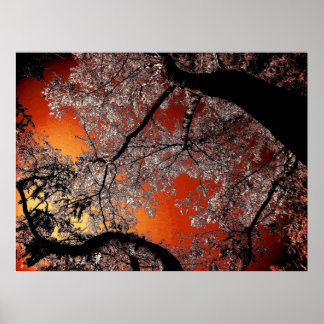 Poster Ciel asiatique