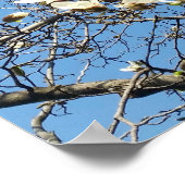 Poster ciel au printemps (Coin)
