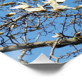 Poster ciel au printemps (Coin)