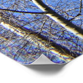 Poster Ciel bleu, Arbres en hiver (Coin)