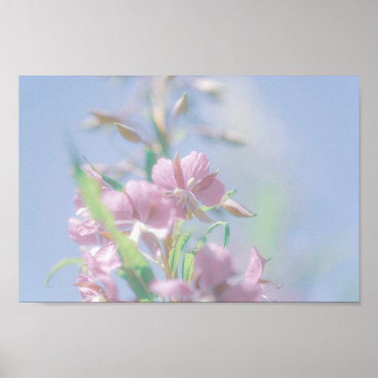 Poster Ciel bleu Vert Plante Feuilles Fleurs violettes (Devant)