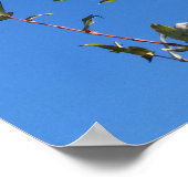 Poster ciel clair (Coin)