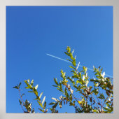 Poster ciel clair (Devant)