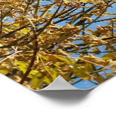 Poster Ciel d'automne (Coin)