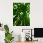 Poster Ciel de bambou (Bureau à domicile)