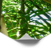 Poster Ciel de bambou (Coin)