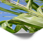 Poster Ciel de Corny (Coin)