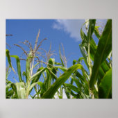 Poster Ciel de Corny (Devant)