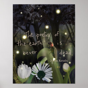 Poster Ciel de luciole