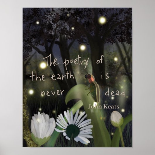 Poster Ciel de luciole (Devant)