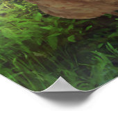 Poster Ciel de poulet (Coin)