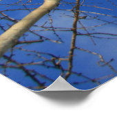 Poster Ciel d'hiver (Coin)