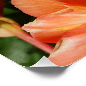 Poster ciel, fleurs et abeille (Coin)