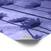 Poster Ciel Gazers (Coin)