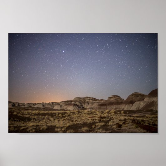 Poster Ciel nocturne de la forêt pétrifiée (Devant)